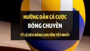 cá cược bóng chuyền