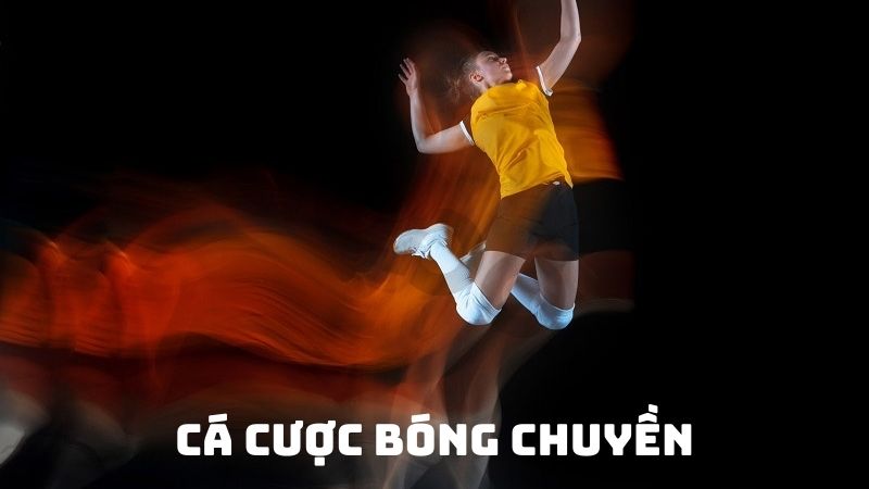  Các vị trí trong luật chơi bóng chuyền