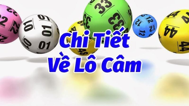 Chi tiết về lô câm