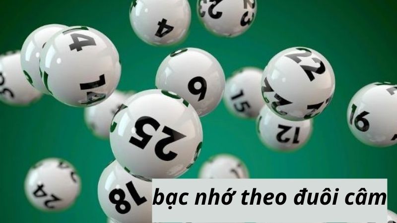 Bạc nhớ theo đuôi câm