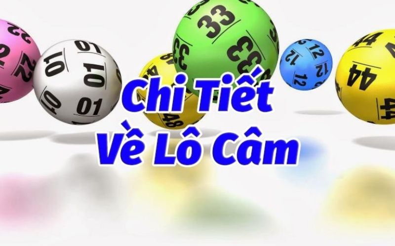 dựa theo lô câm