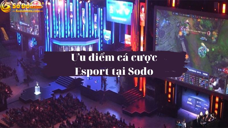 Esport sodo