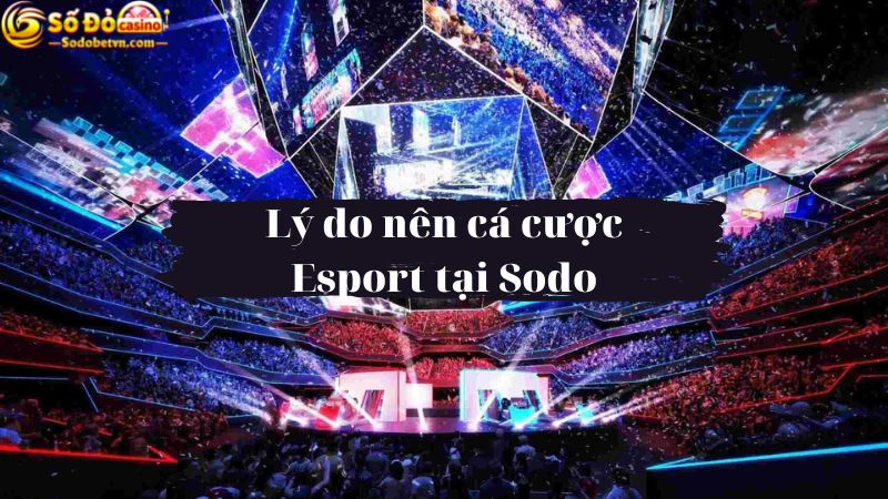 Esport sodo