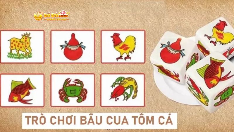 Không nên háo thắng hoặc chủ quan khi tham gia